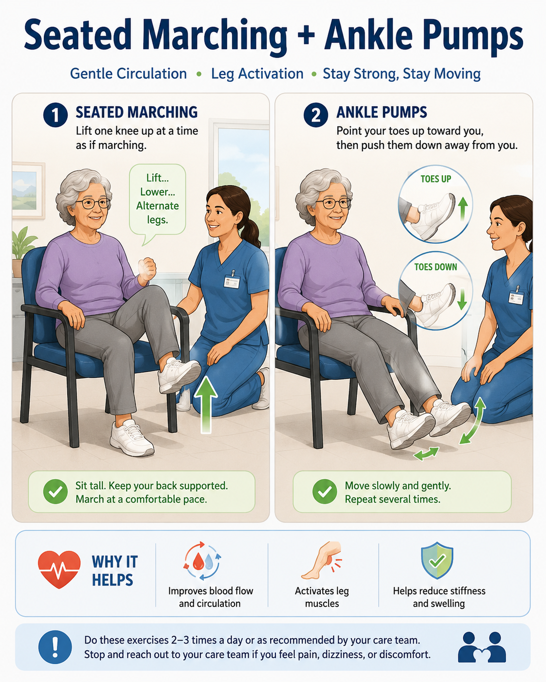 Seated Marching + Ankle Pumps illustrated guide